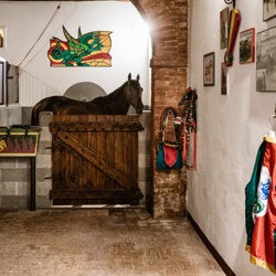 palio 2022-9